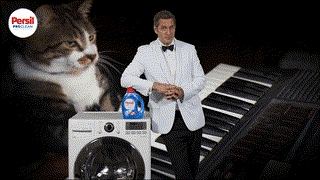 Persil ProClean: Don't Become Stain-Famous.